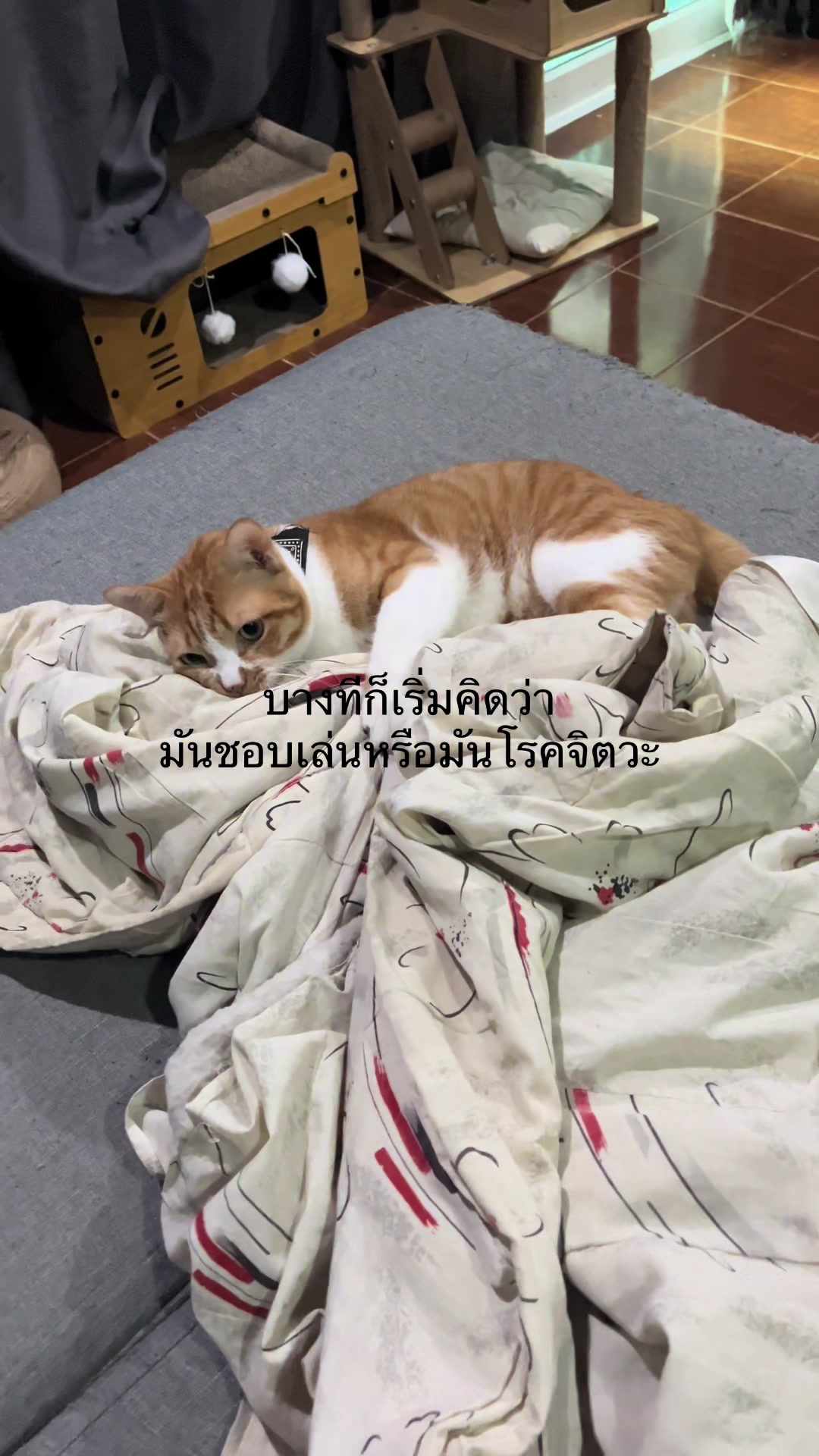 @กระเพราเป็ด