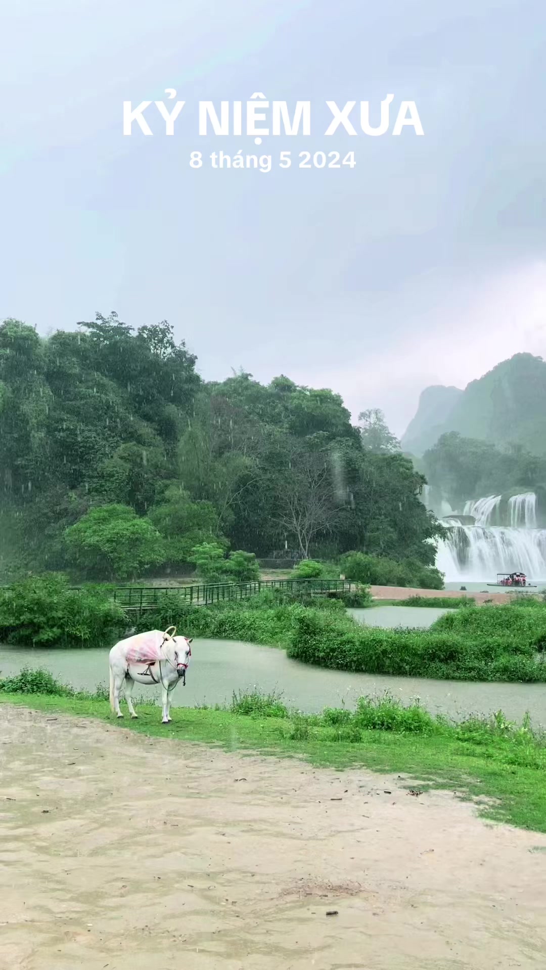 @Bạch Du Lịch