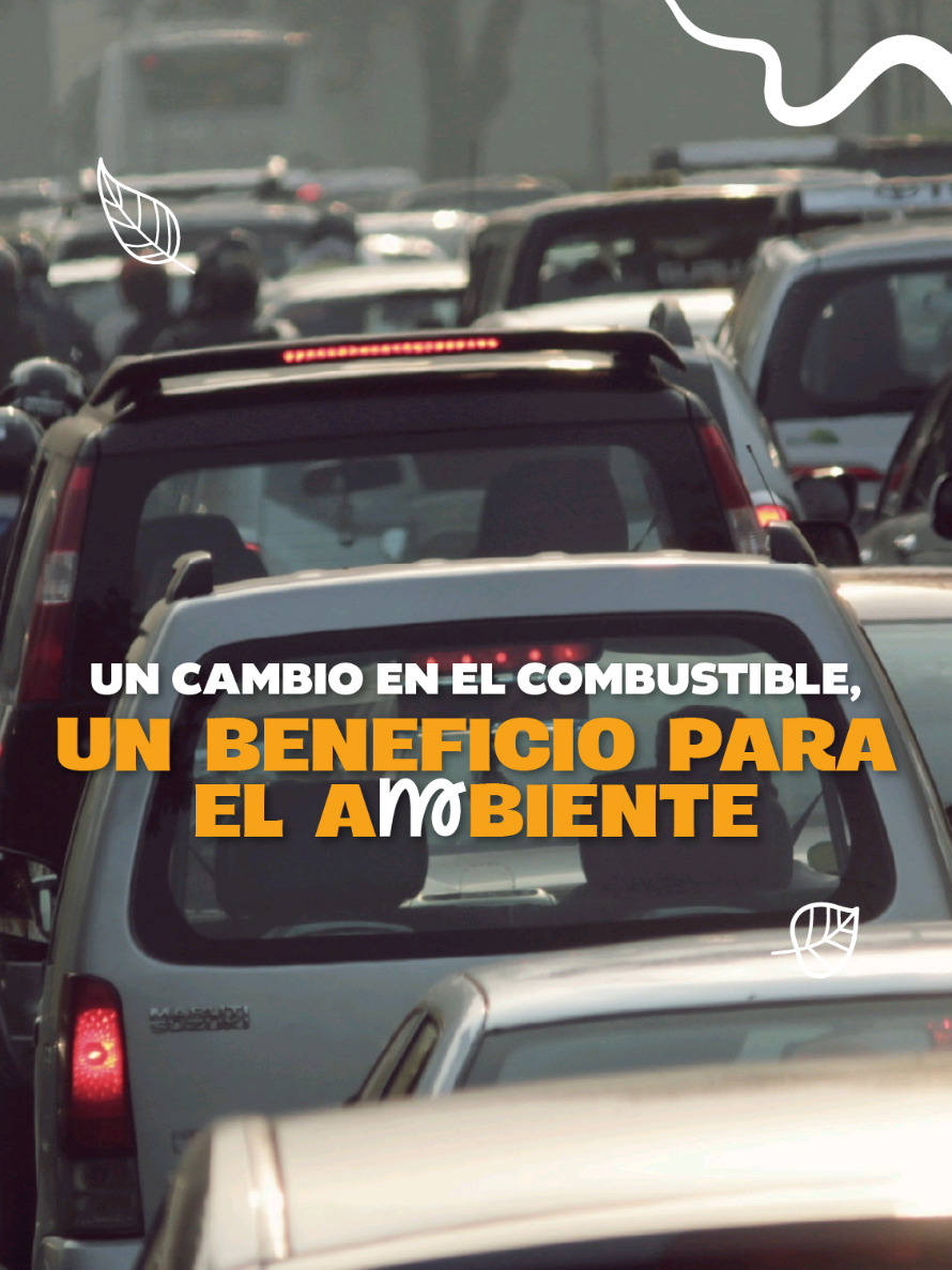 @Ministerio de Ambiente GT