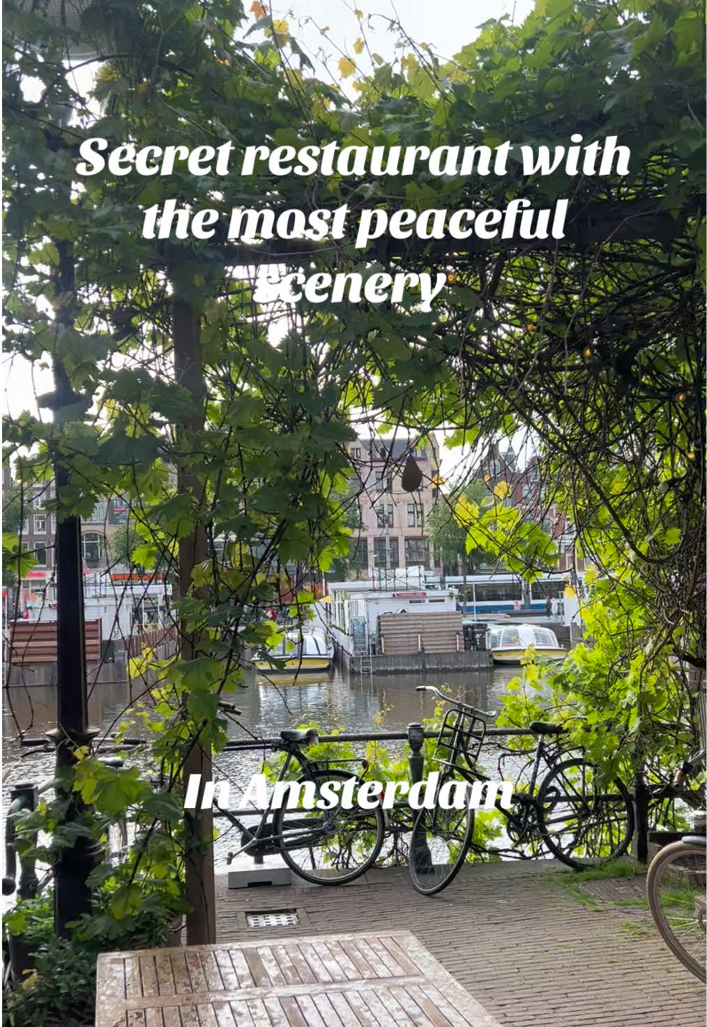 @gotoguide.amsterdam