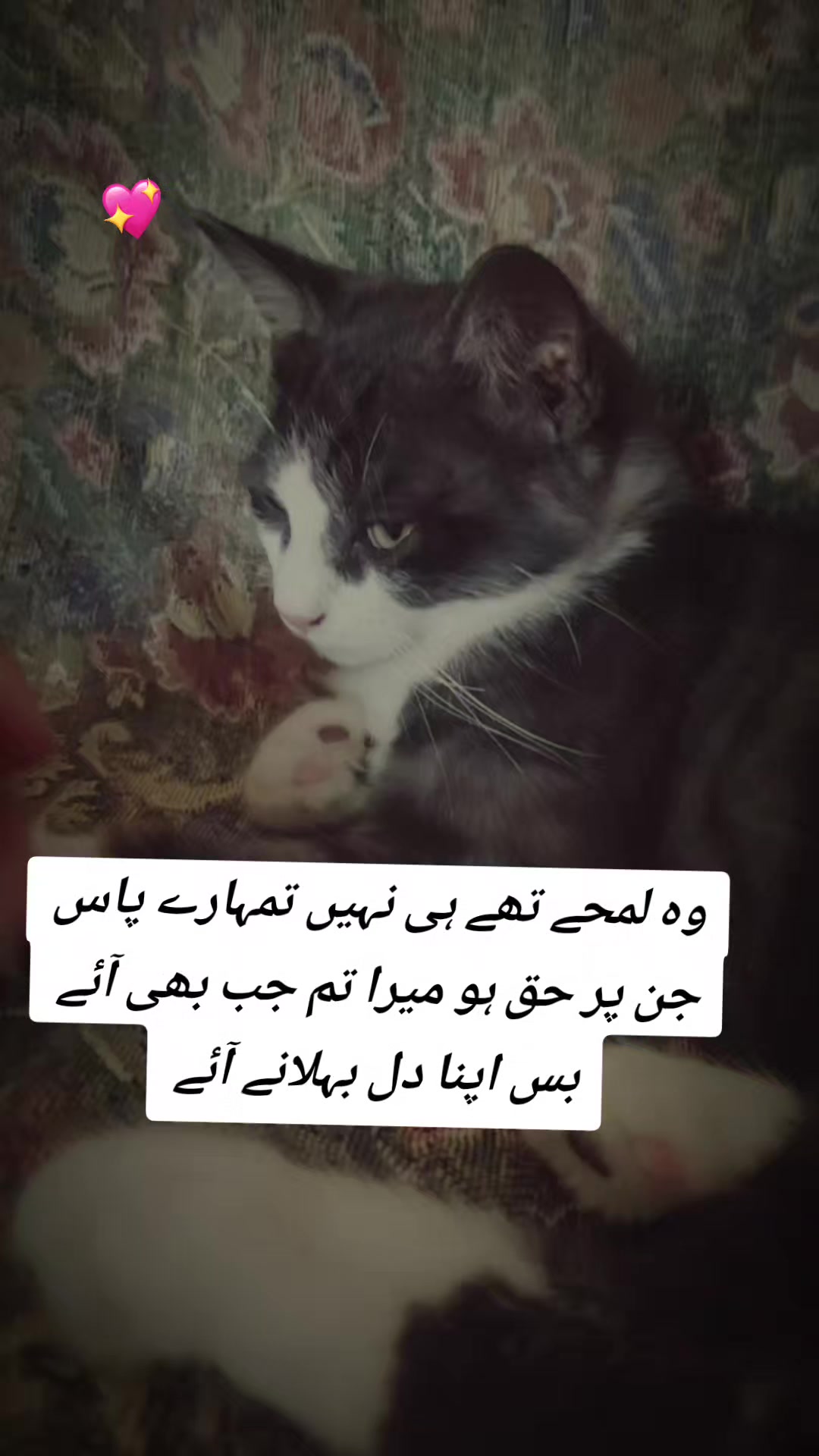@😘تُو چانن میری اکھیاں دا🥀