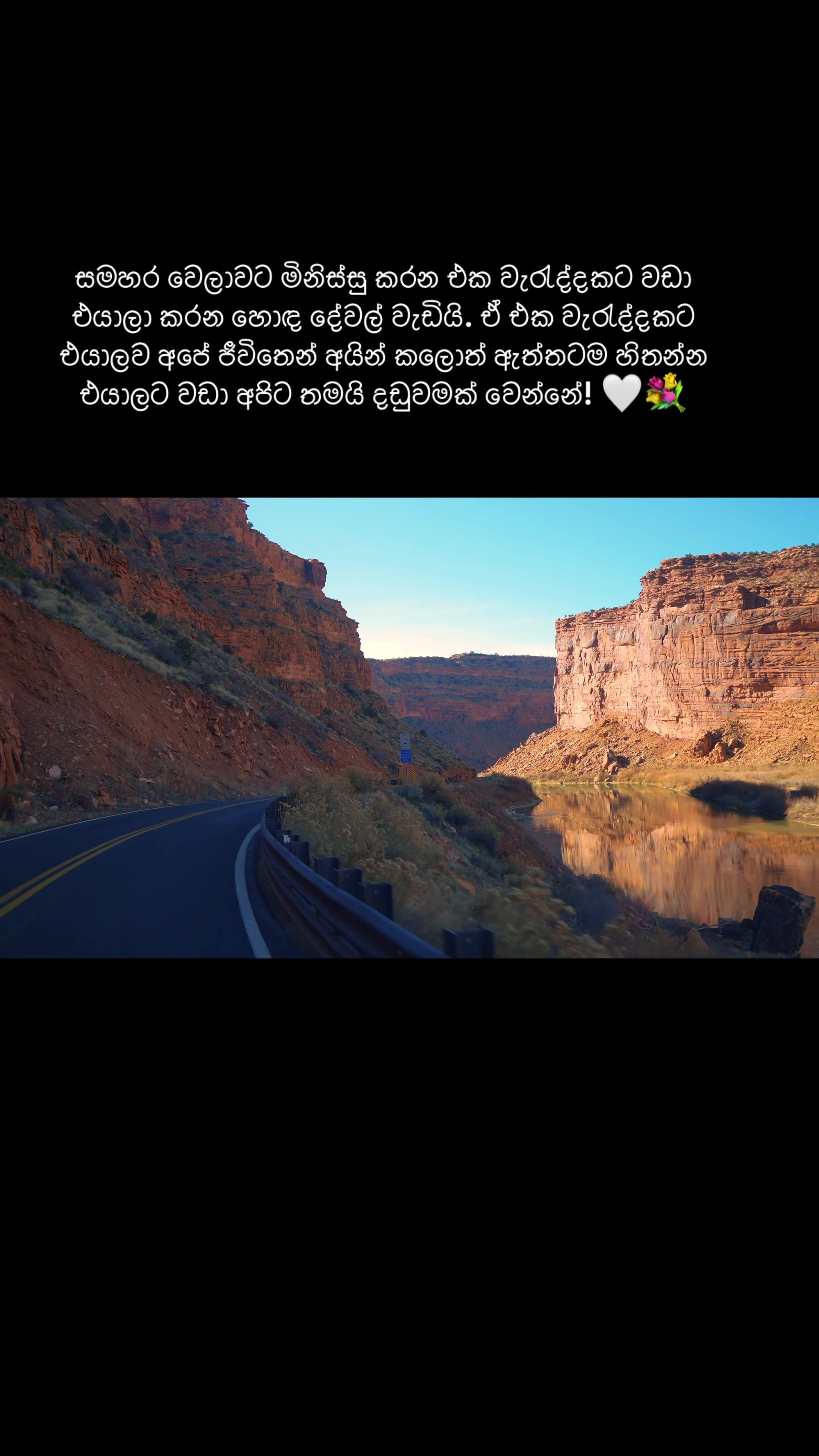@Life Nature Aus