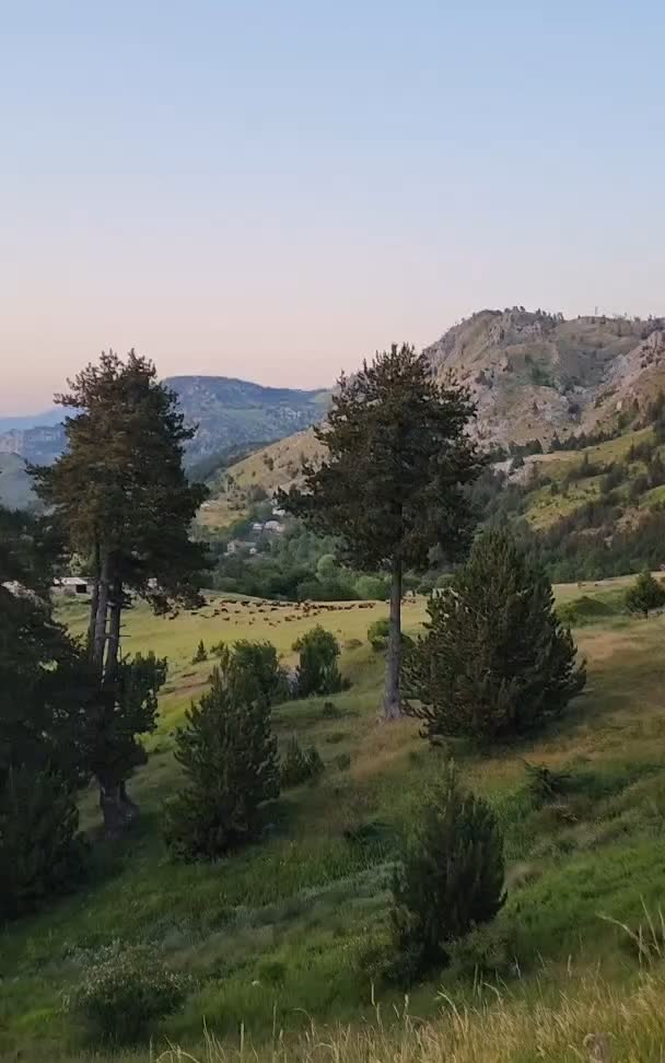 @orosh_mirdite 🇦🇱