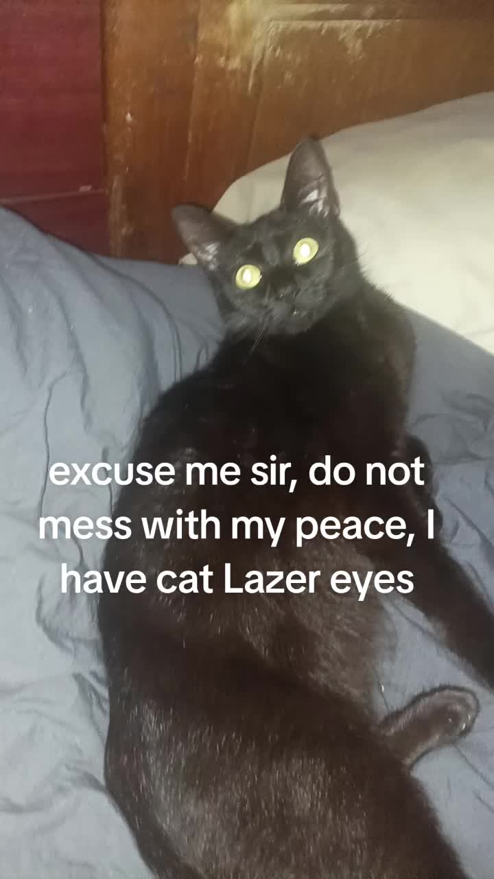 @Norsepagangamer