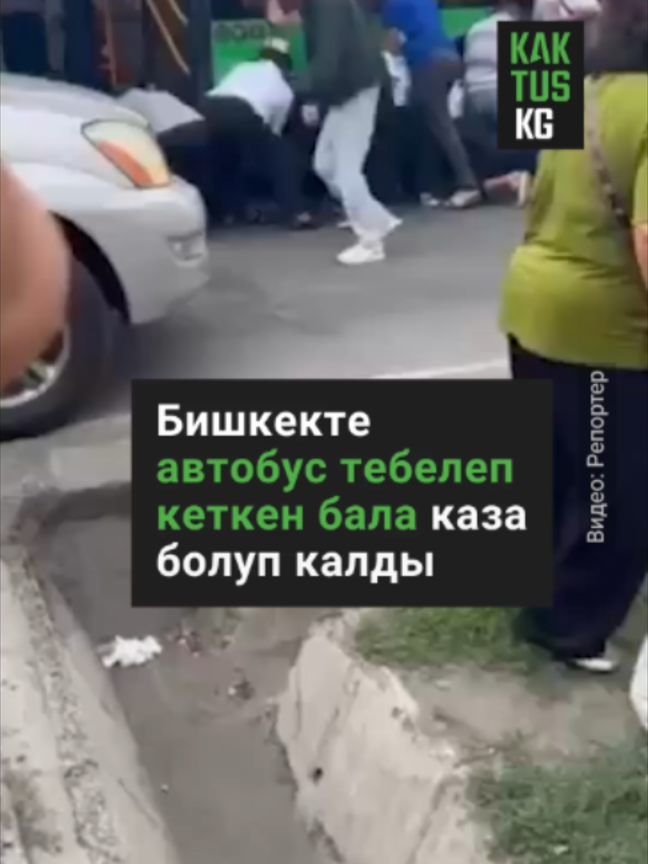 @Kaktus KG