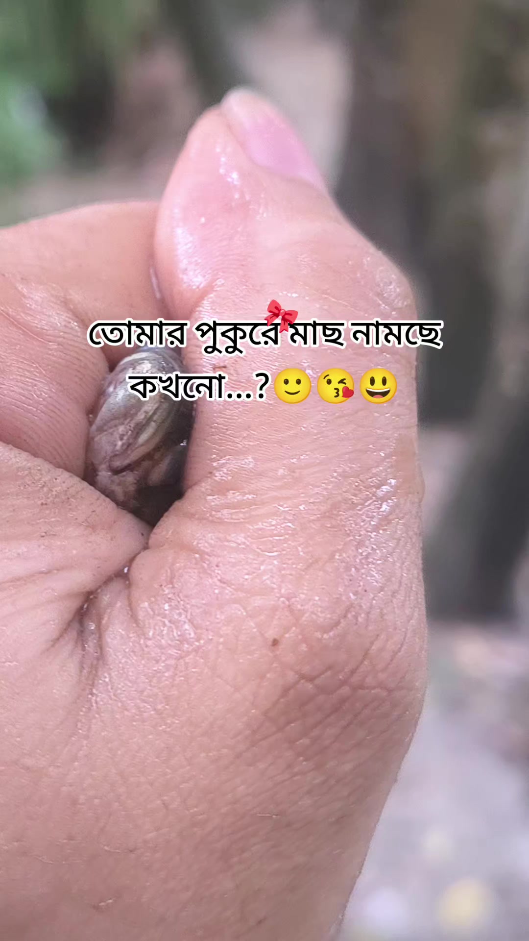 @(っ◔࿐🐸🫦দুষ্ট দাদু🫦🐸࿐(っ◔◡◔)っ