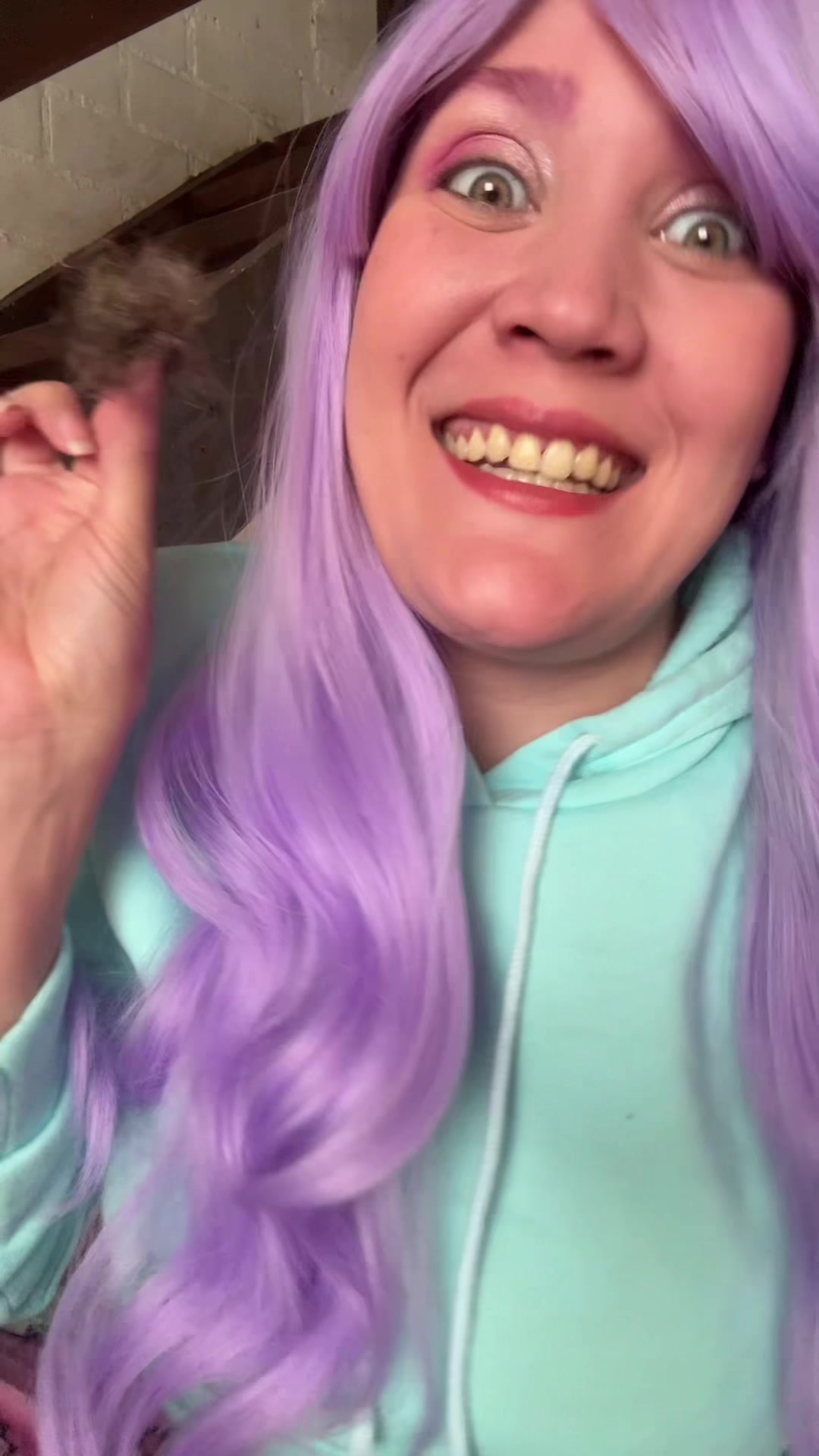 @Gomita