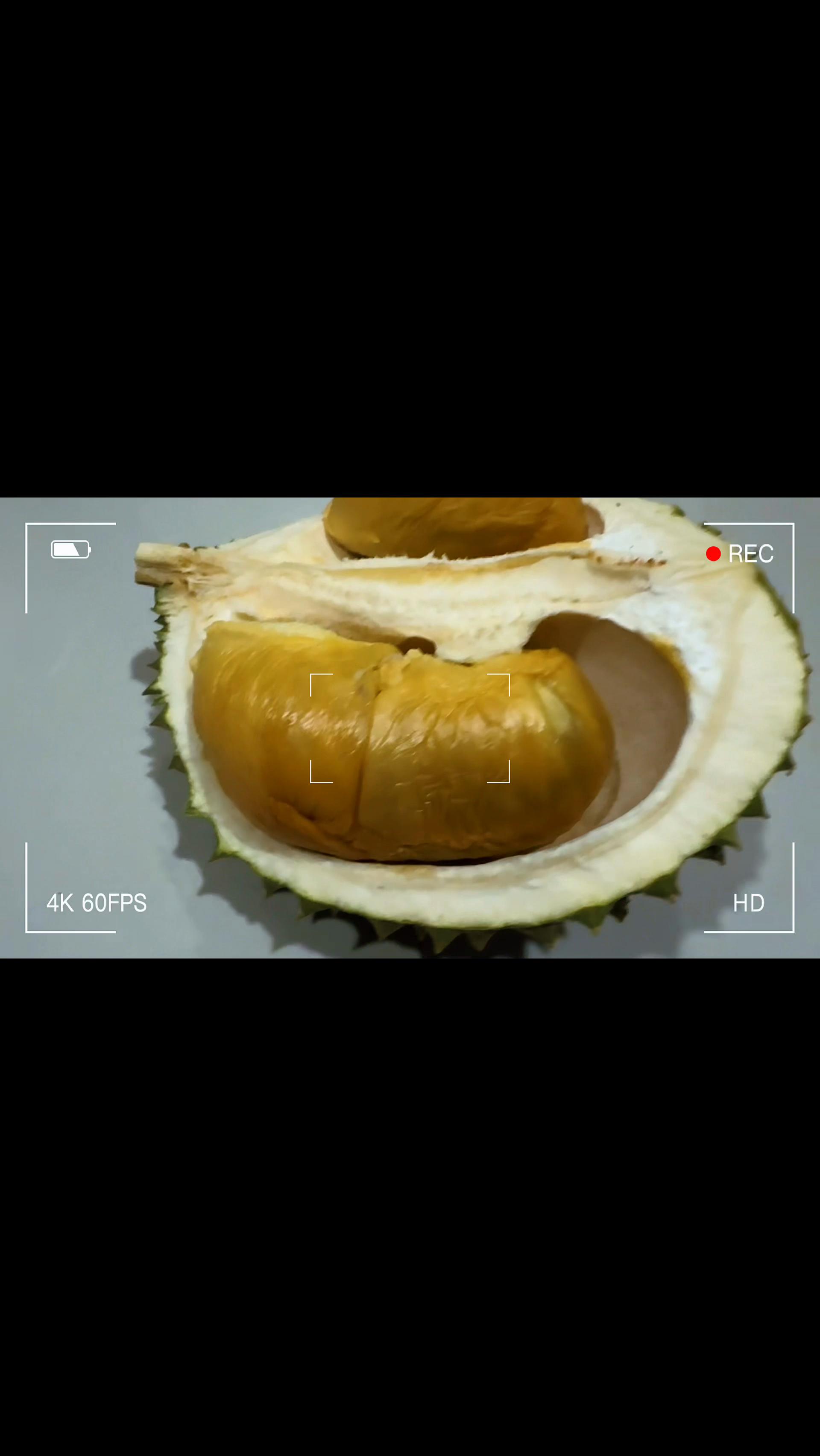 @Durian King Kaki