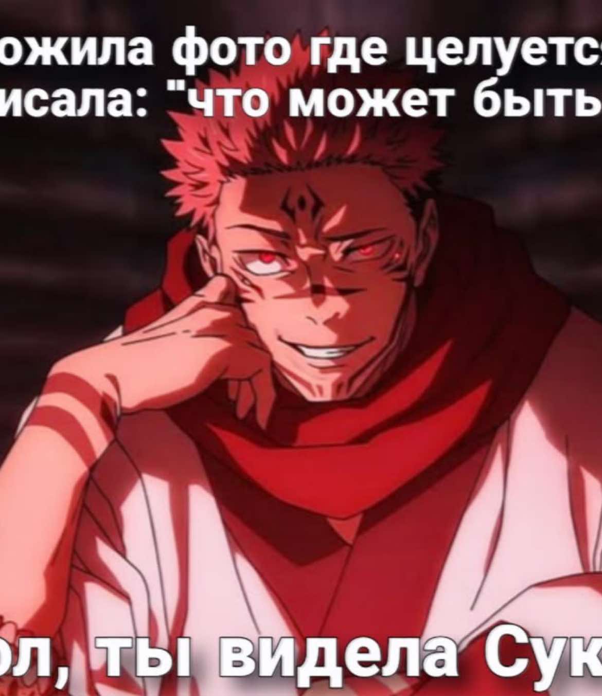 @кошка lumen??