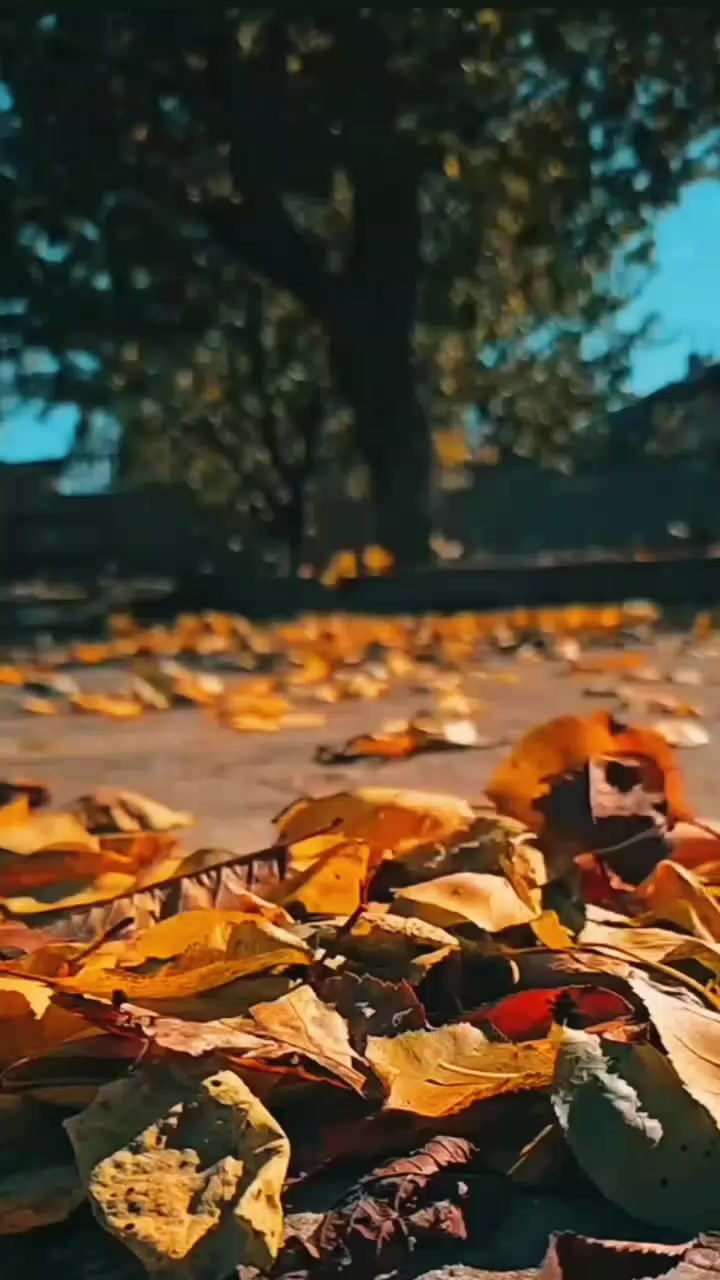 @عکس تحریر