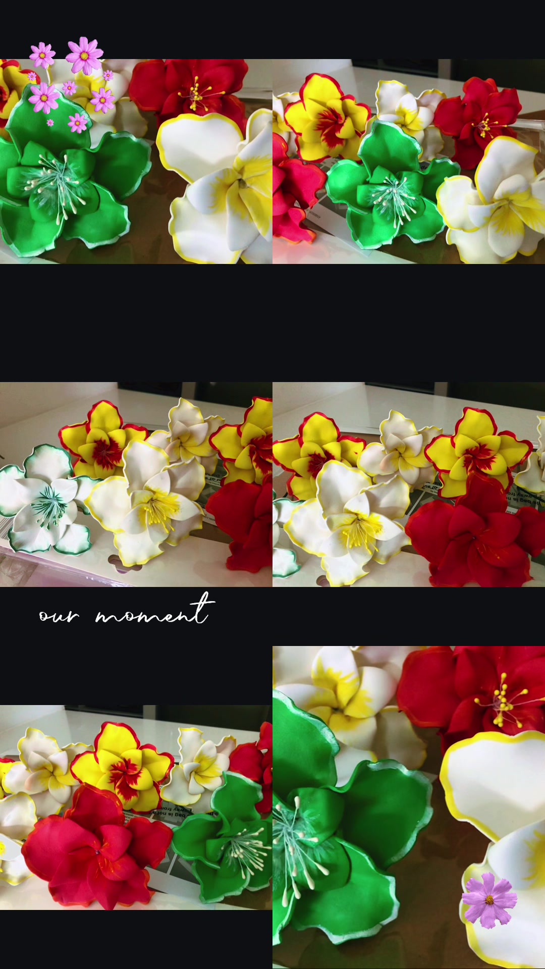 @🌺Island Queen Collection🥥