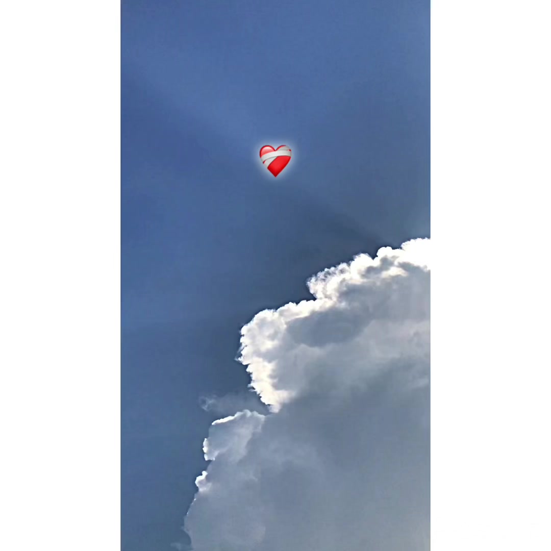 @پنجاب ❤️🩹