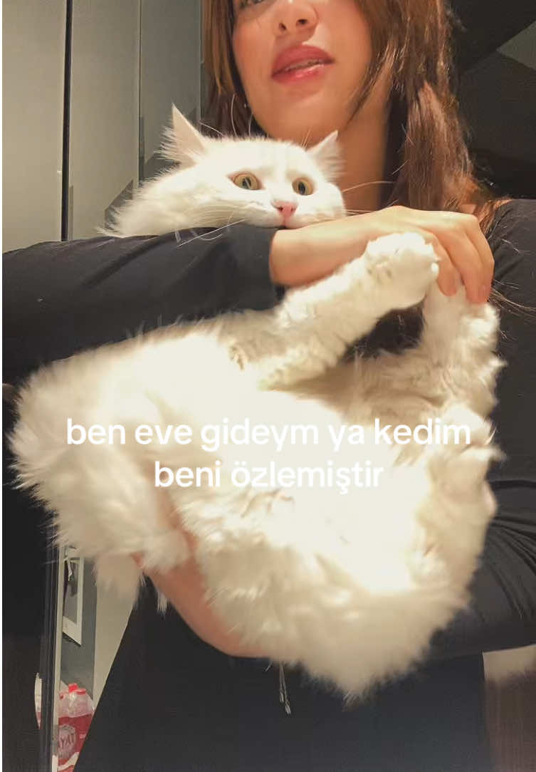 @tugce
