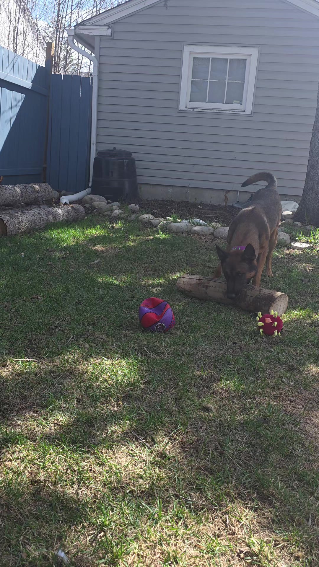 @Steph-RaisingHell.Hounds🇨🇦
