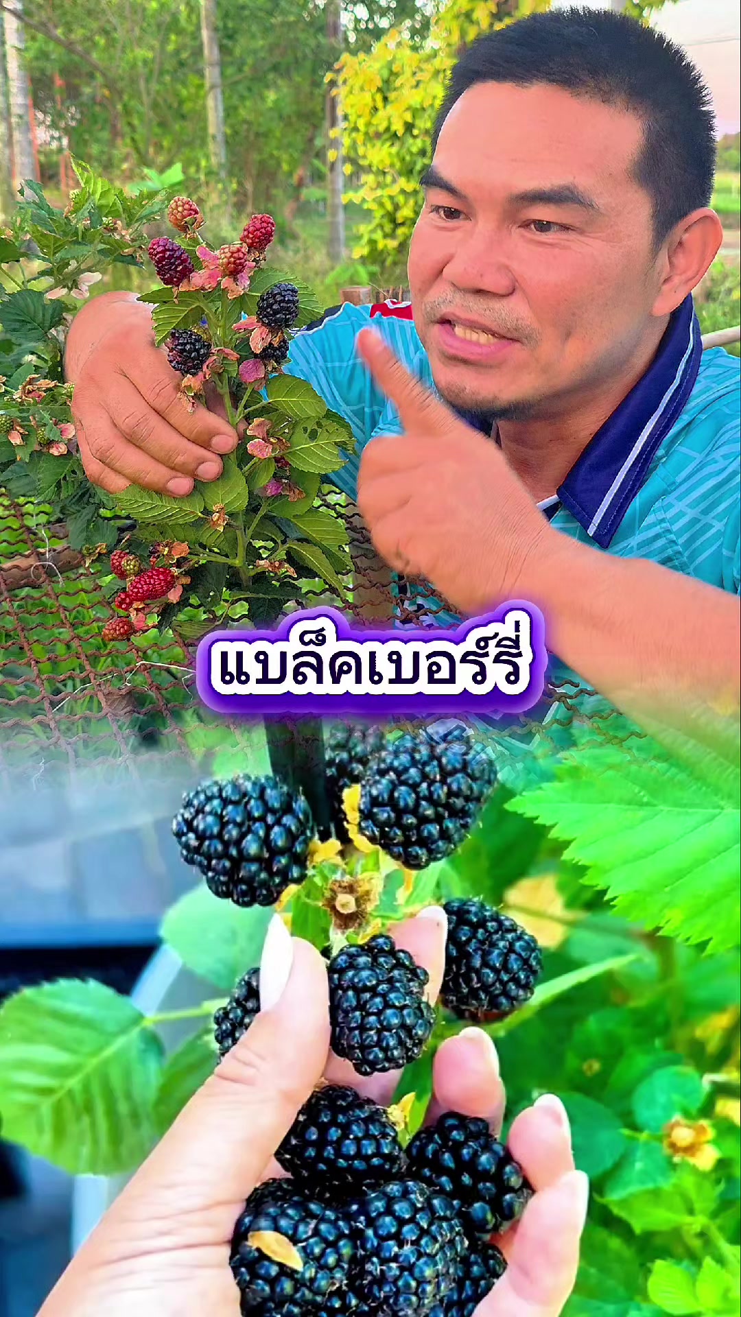 @Konloy