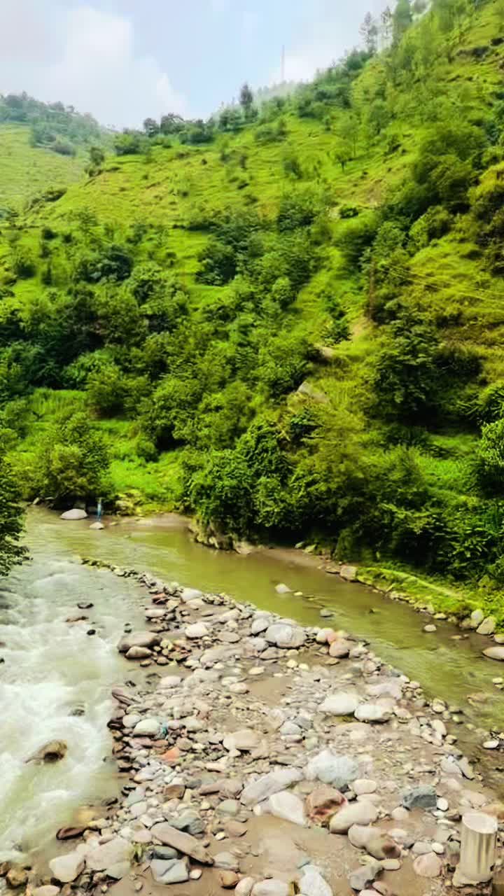 @TALHA CATTLE FARM