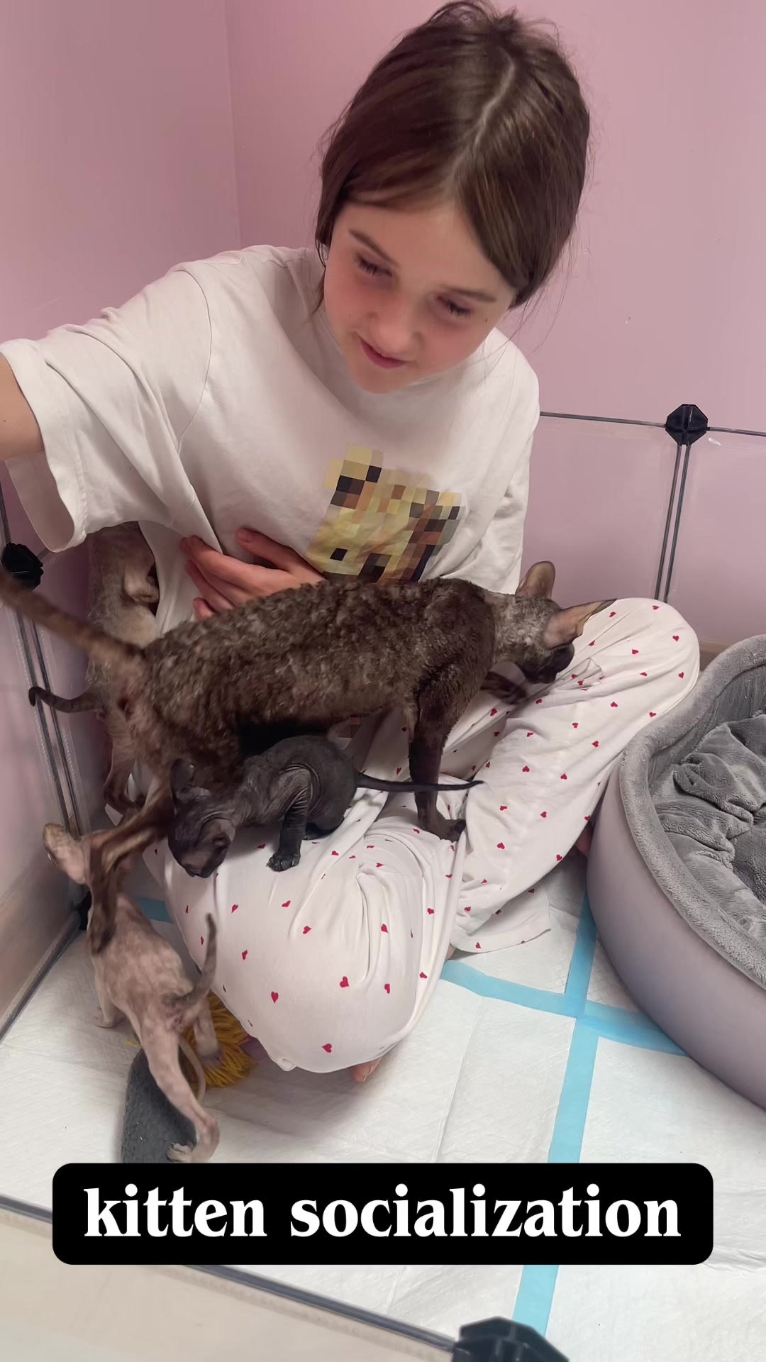 @patimolli_cattery