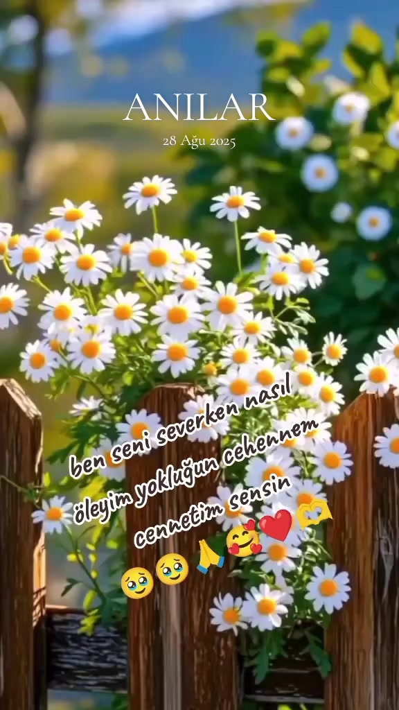 @🩷🕊️ELFİDA🕊️🖤