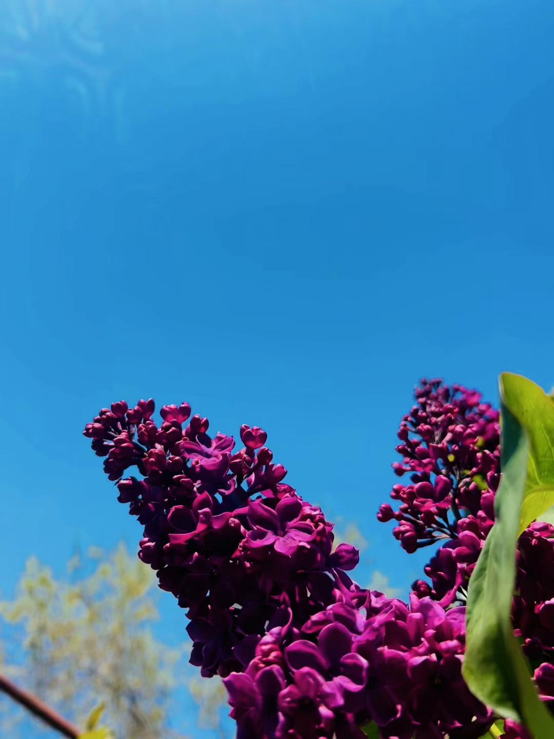 @𝔹𝕦𝕣𝕕𝕖𝕟𝕜𝕠¹²⁶