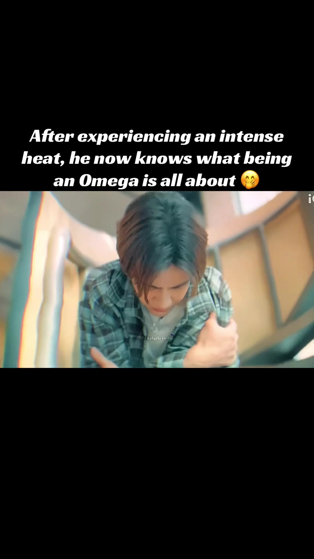 @Pheonixx🦋