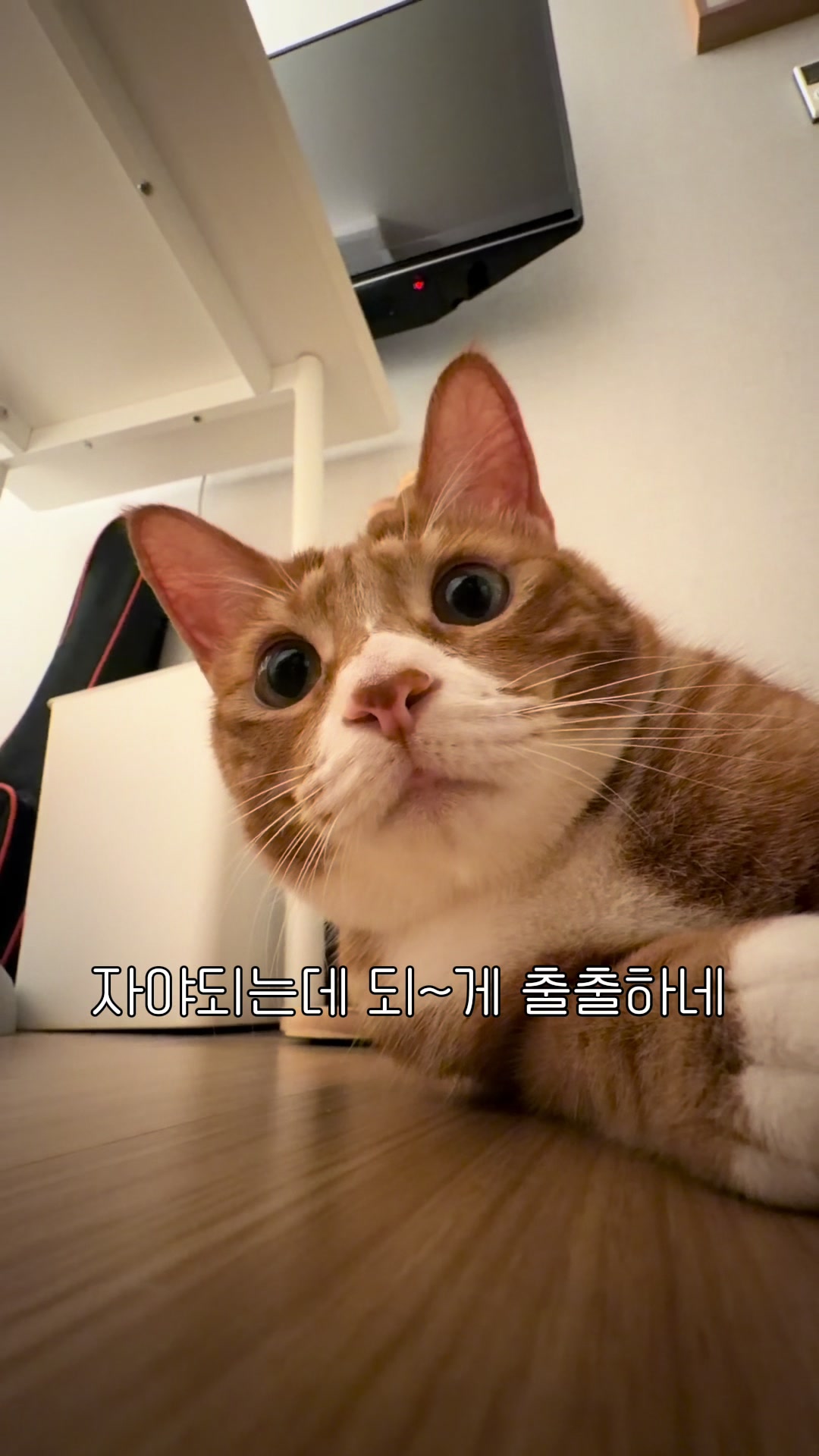 @뮤춘삼