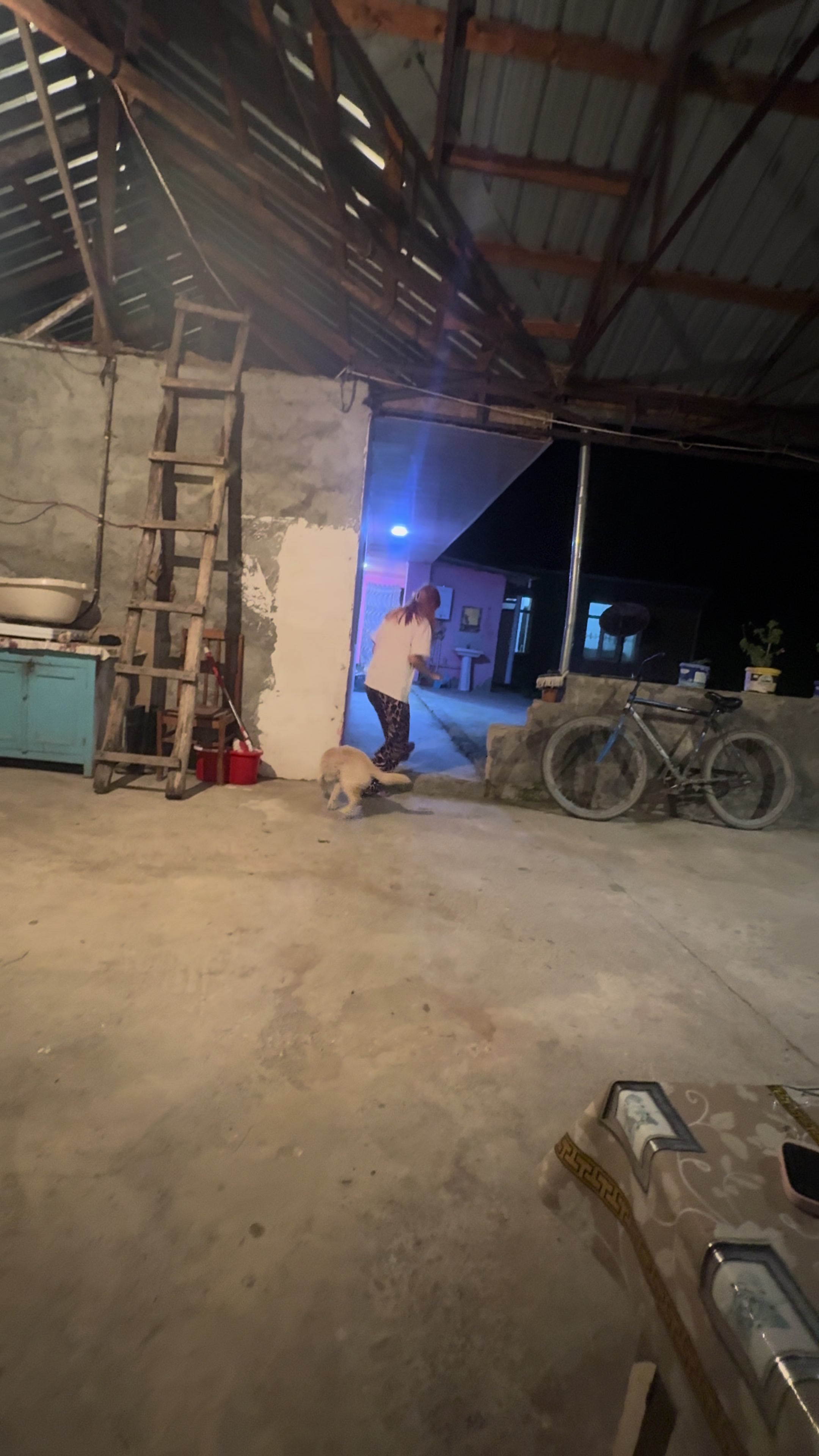 @Rəna Əsədova