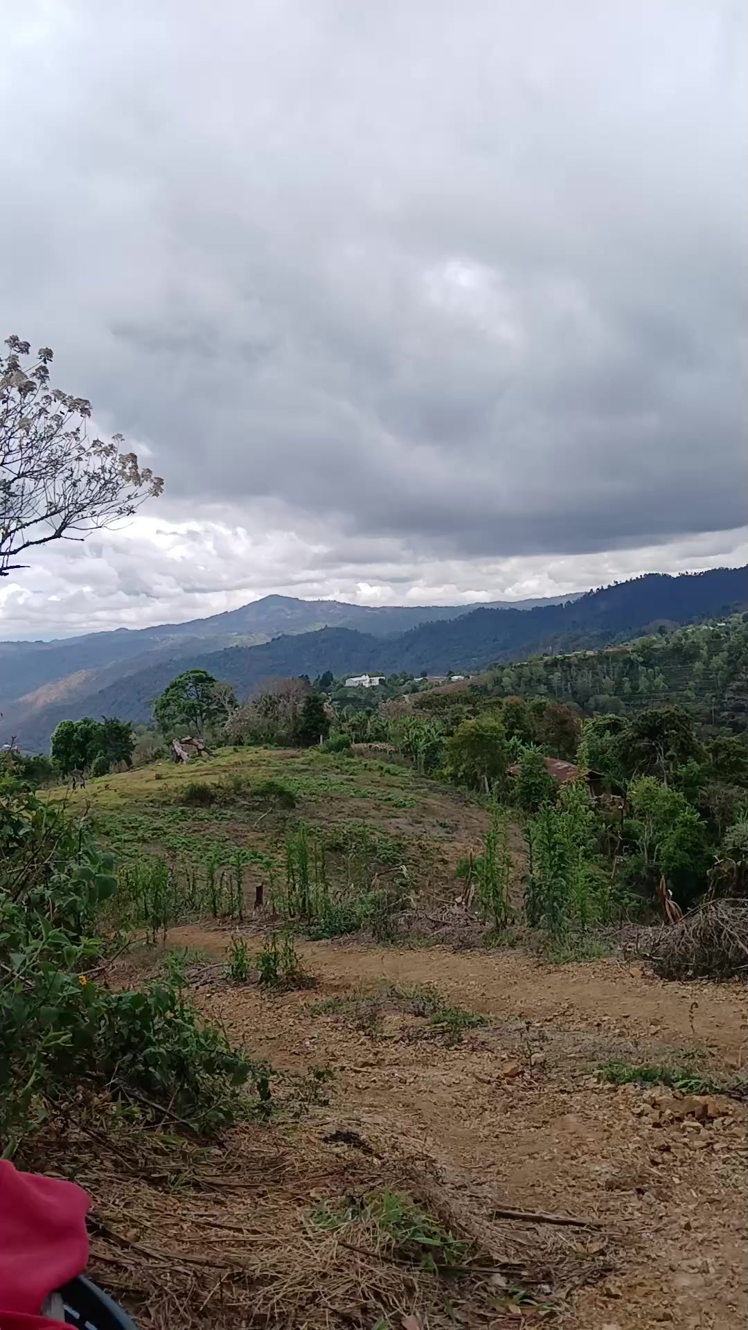 @garmita ramos