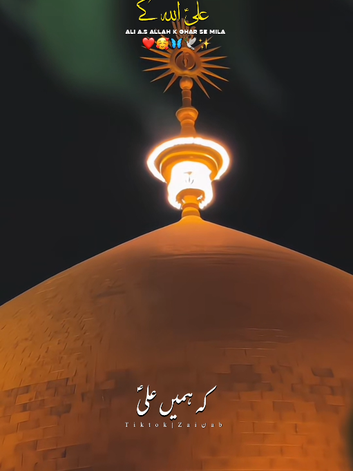 @𝐙𝐀𝐈ن𝐀𝐛ރ