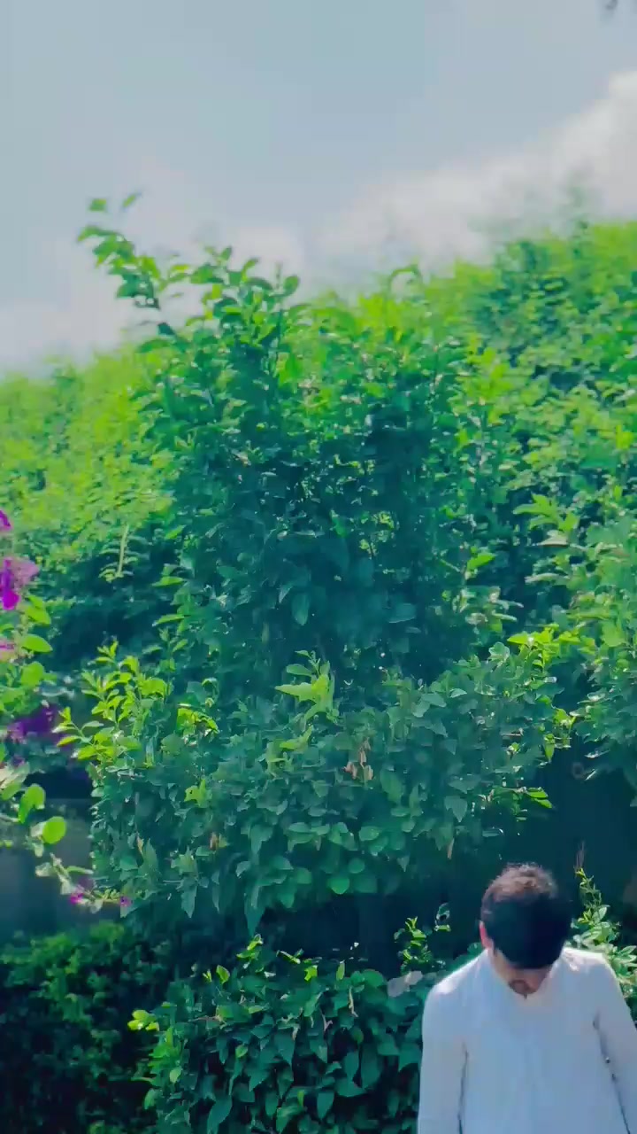 @𓆰•𝐈 𝐃 𝐑 𝐄 𝐄 𝐒—͟͞🧸