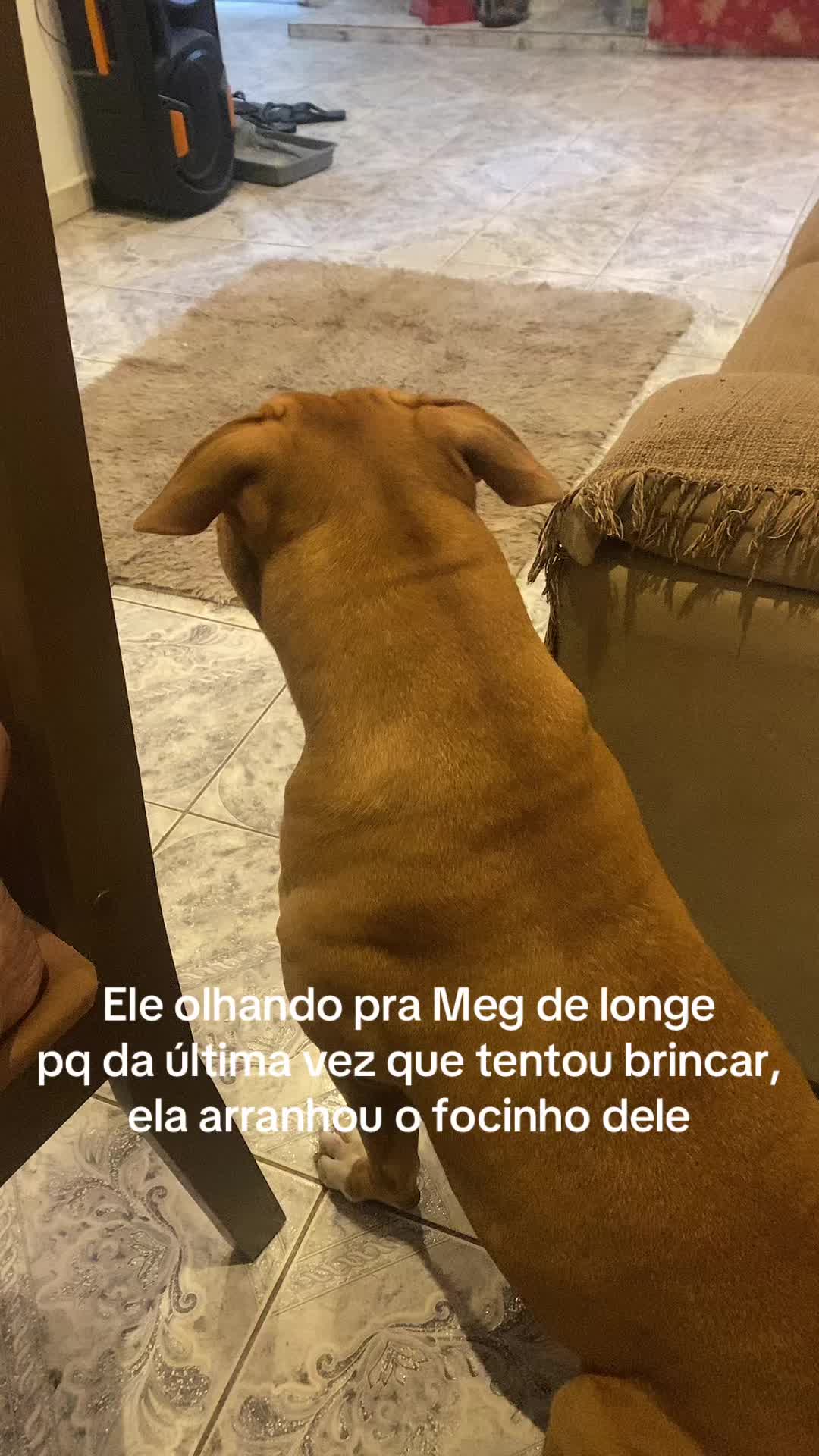 @jufontao
