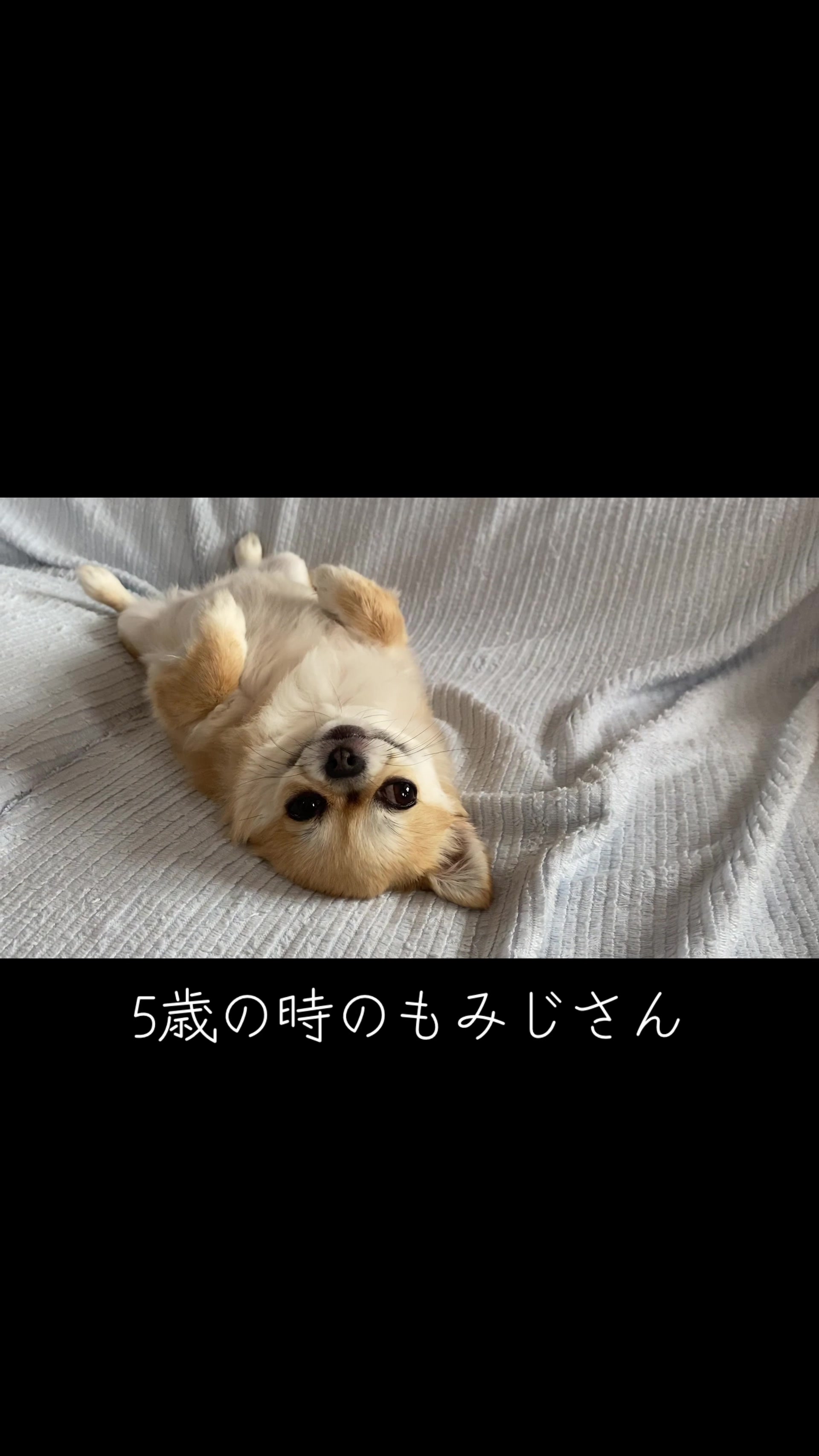 @もみぞう