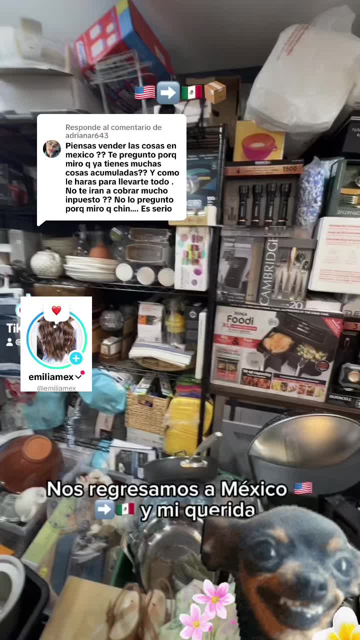 @emiliamex