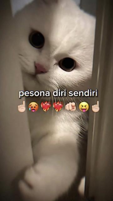 @Dara Ferina