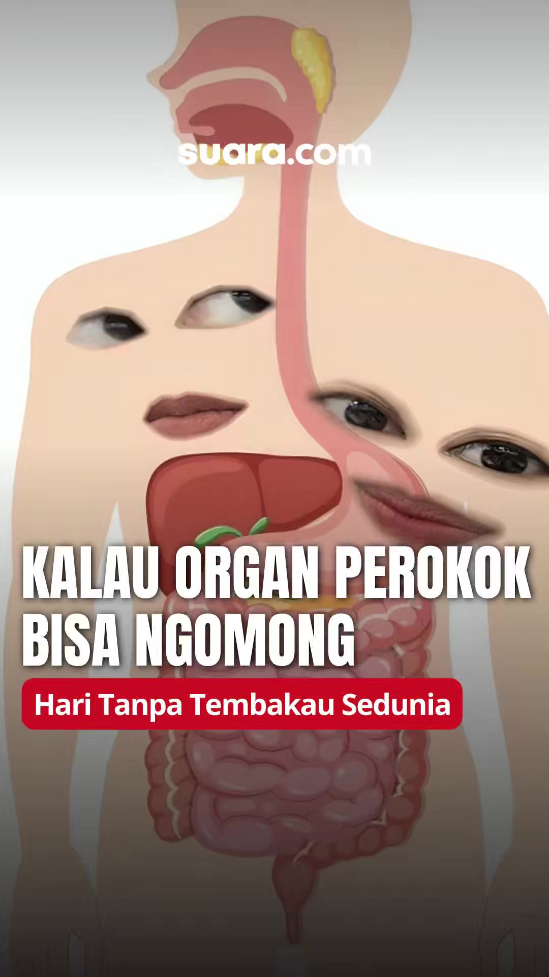 @Suaradotcom