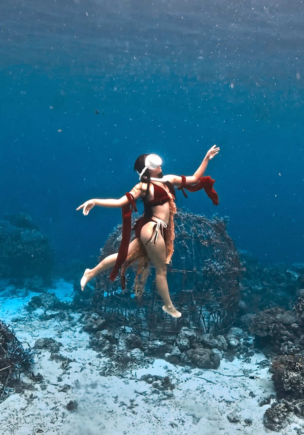 @divewith_eyJ