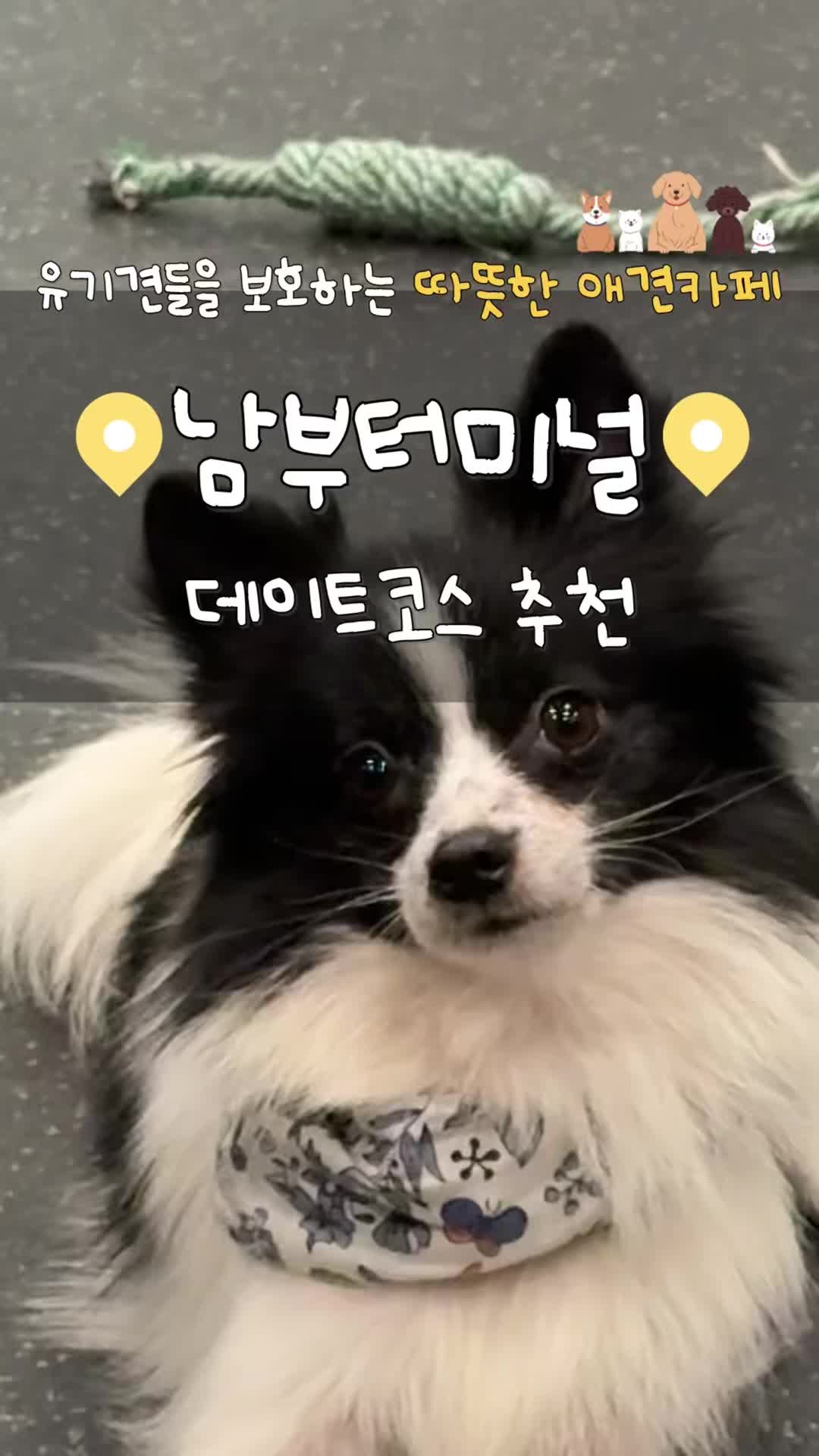 @놀자커플