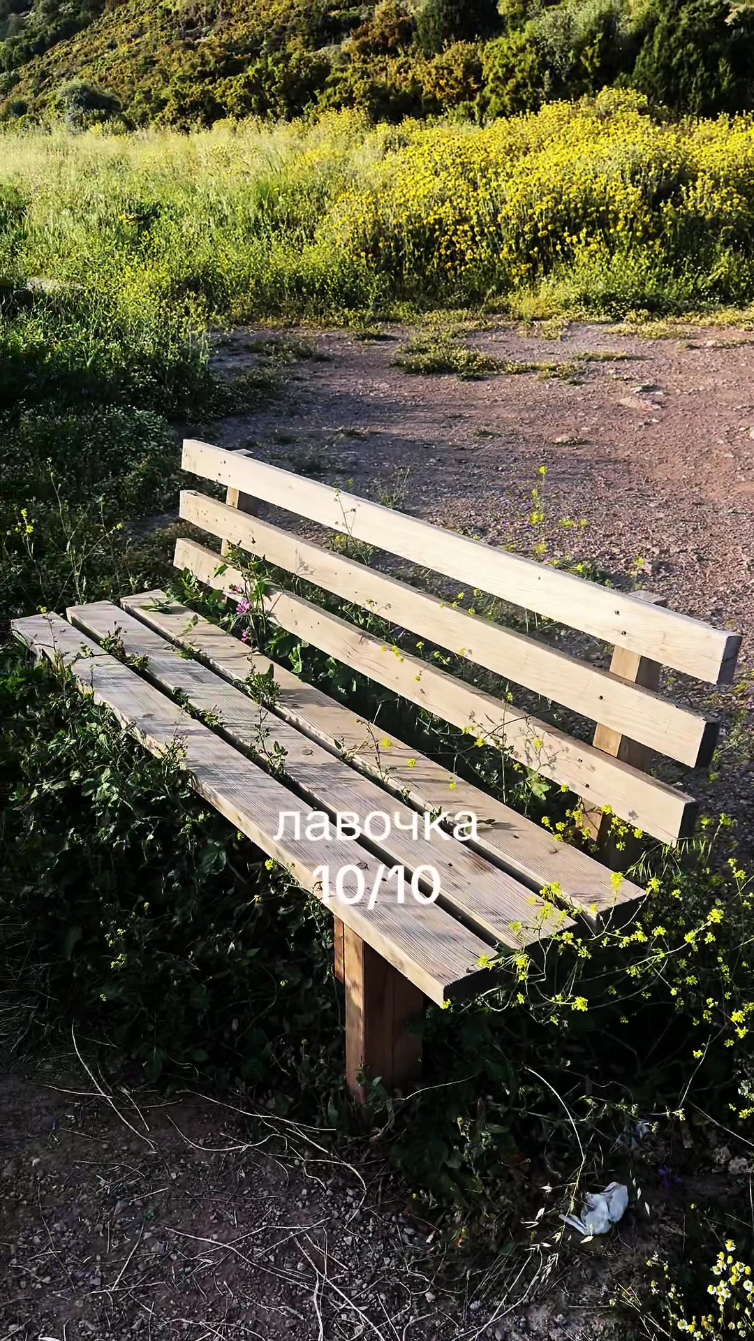@Хоши