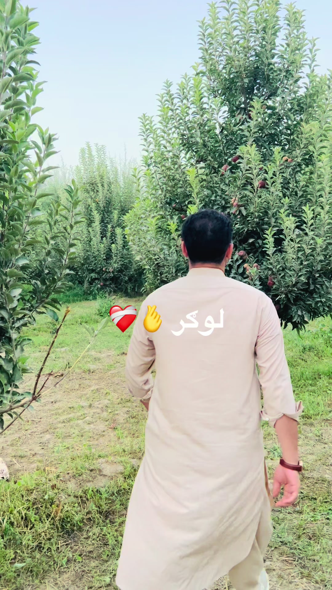 @abdulbasitsafi12
