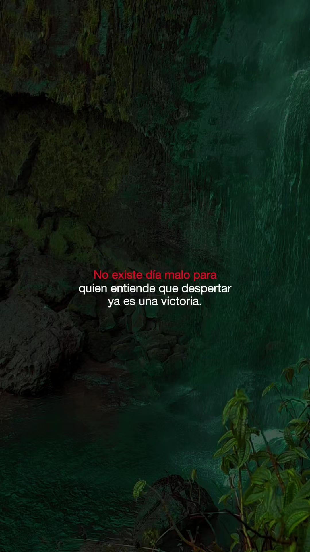 @Janio Ter&aacute;n