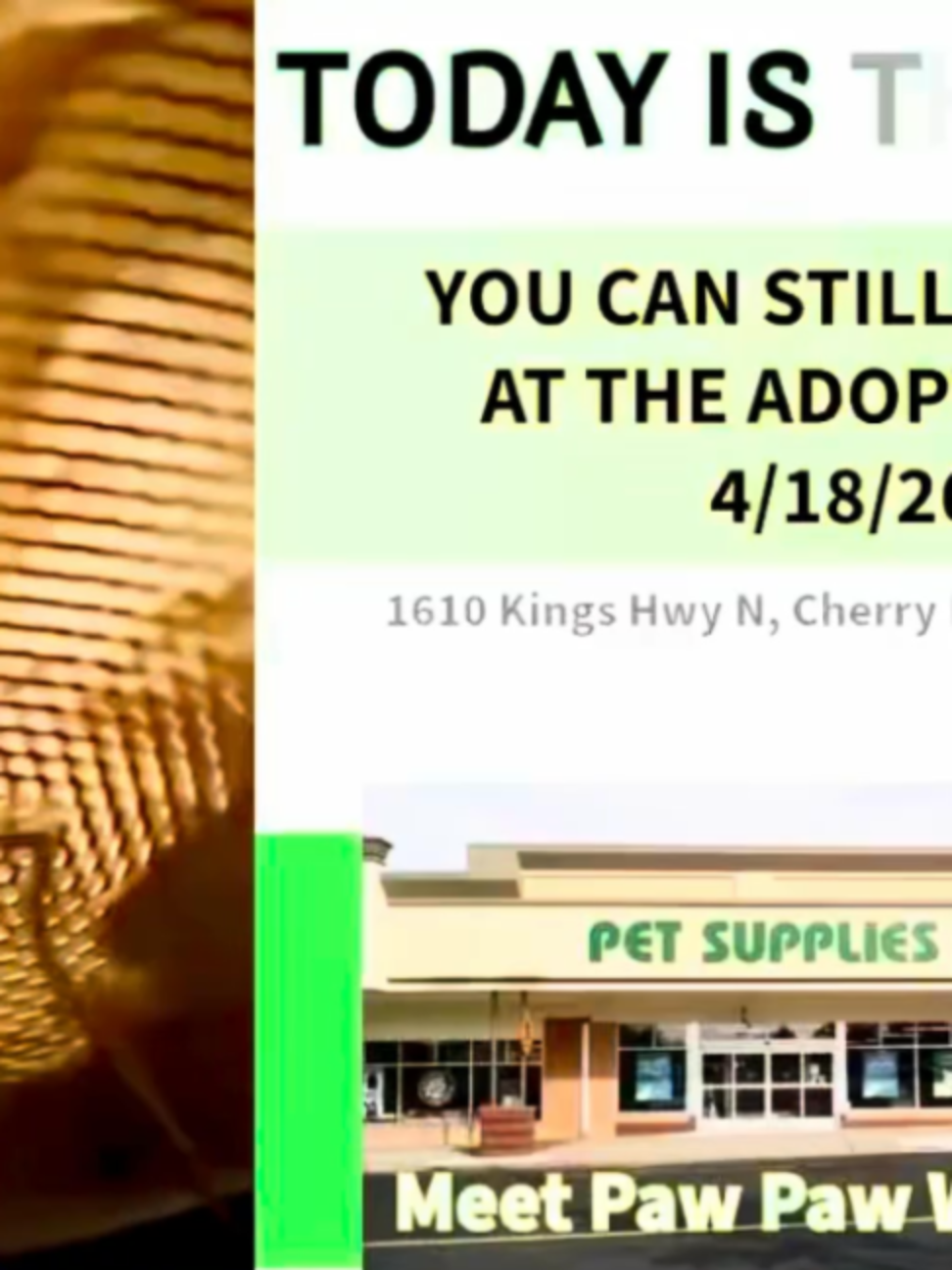 @One Love Animal Rescue Group
