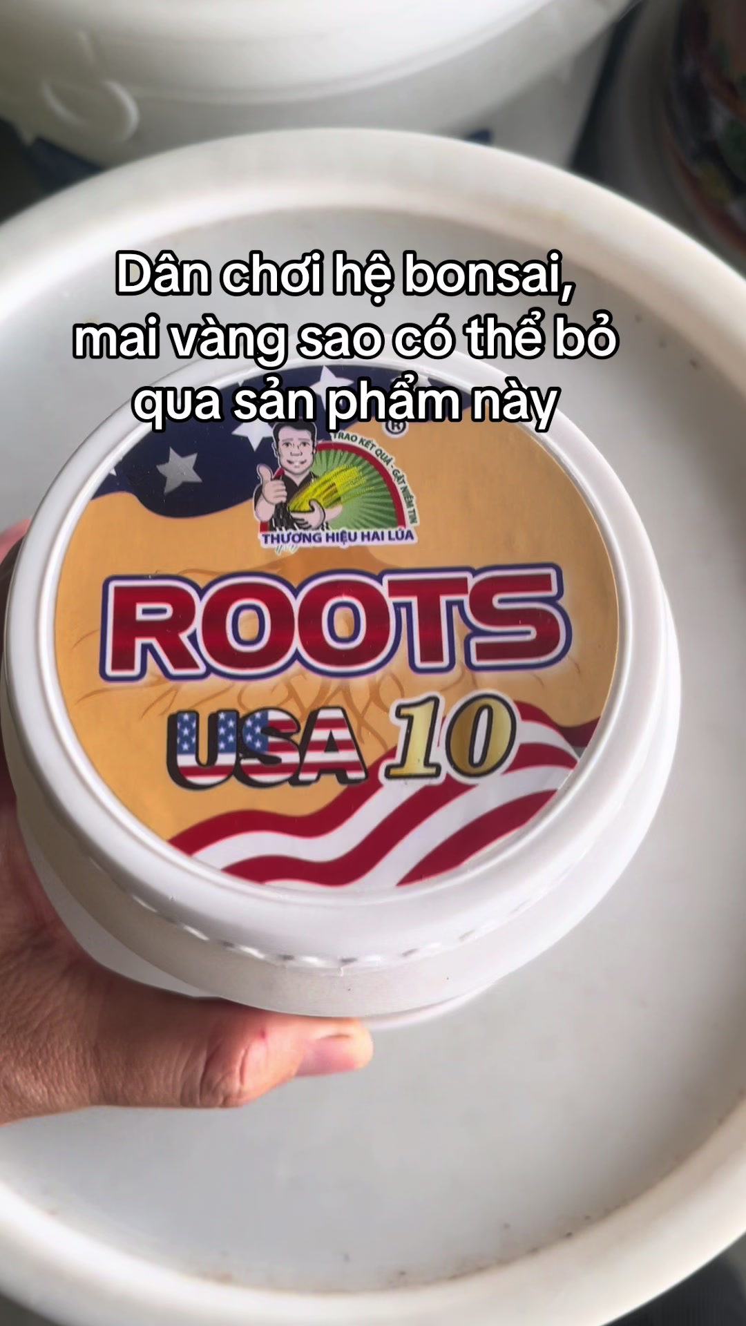 @VTNN Trung Hiếu 1