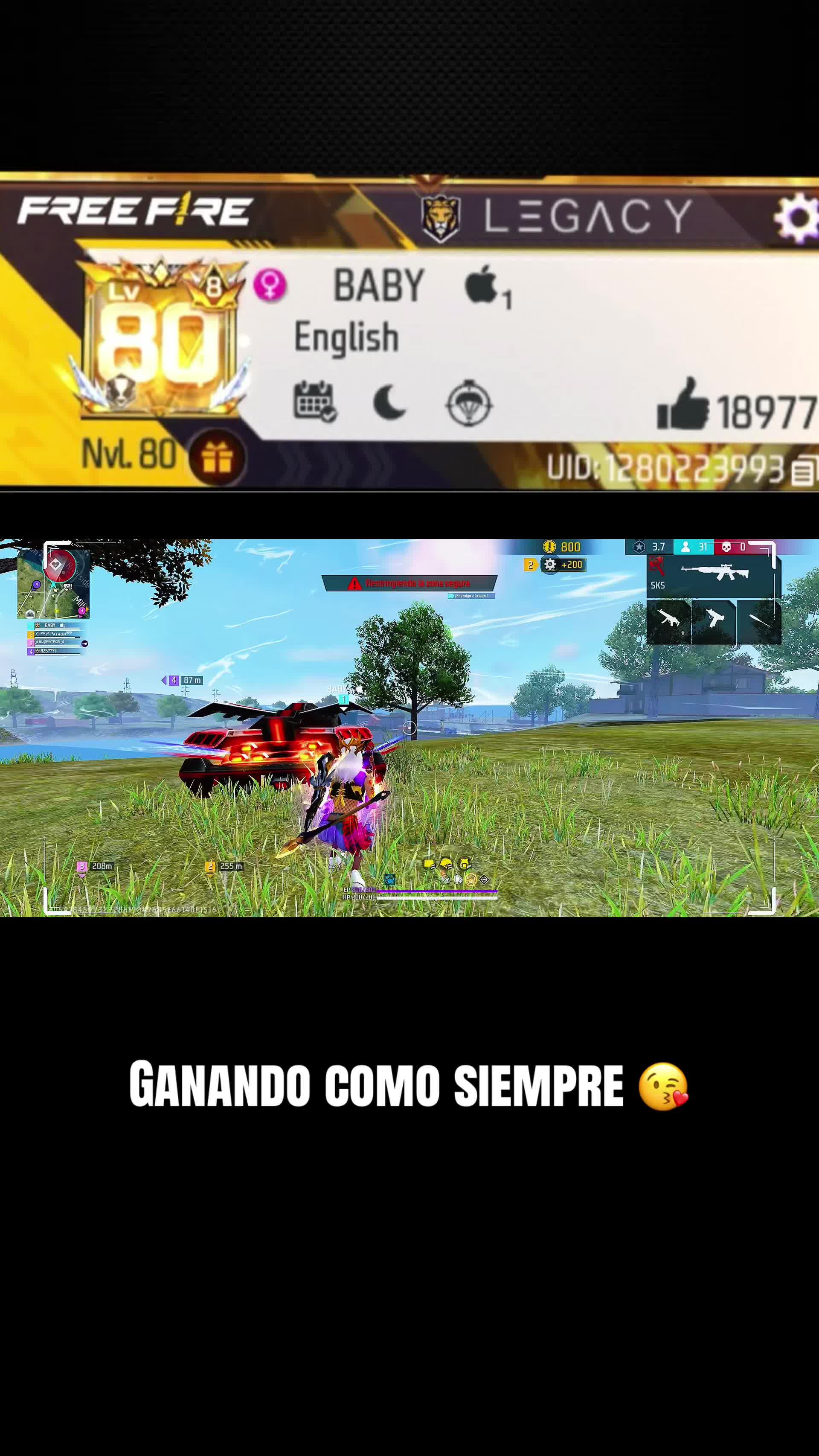 @baby_zff