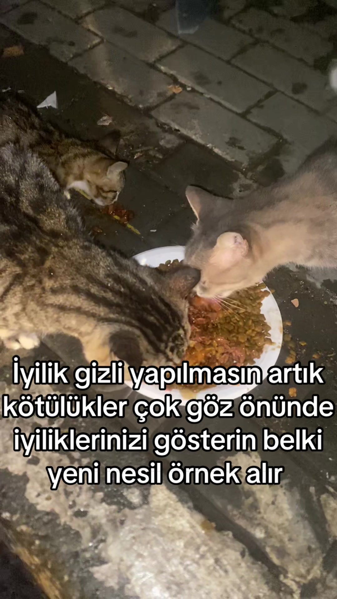 @yudummz_