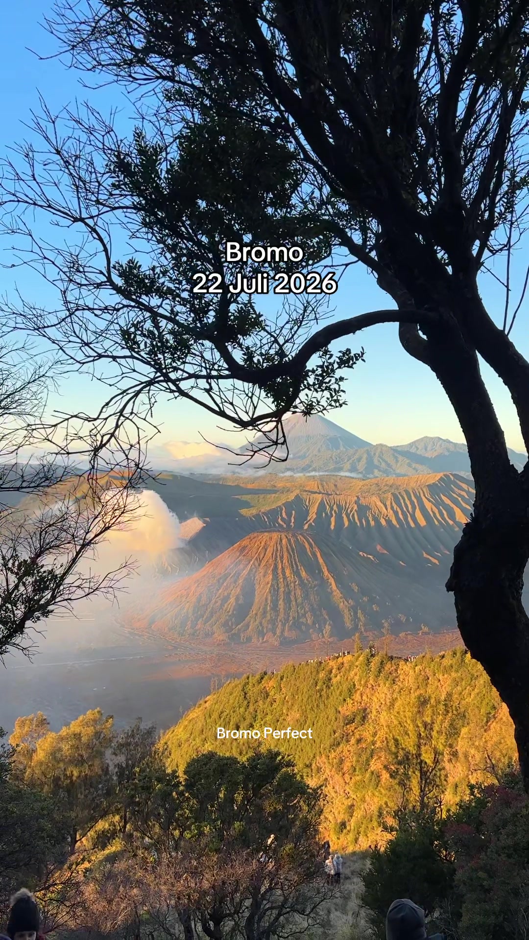 @Travel Bromo Probolinggo