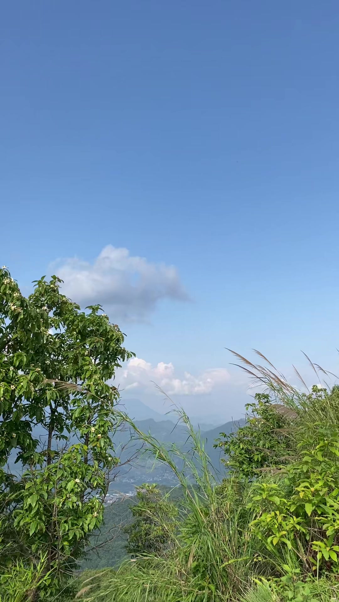 @Bindukarki