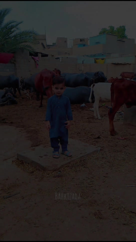 @Bakht zada