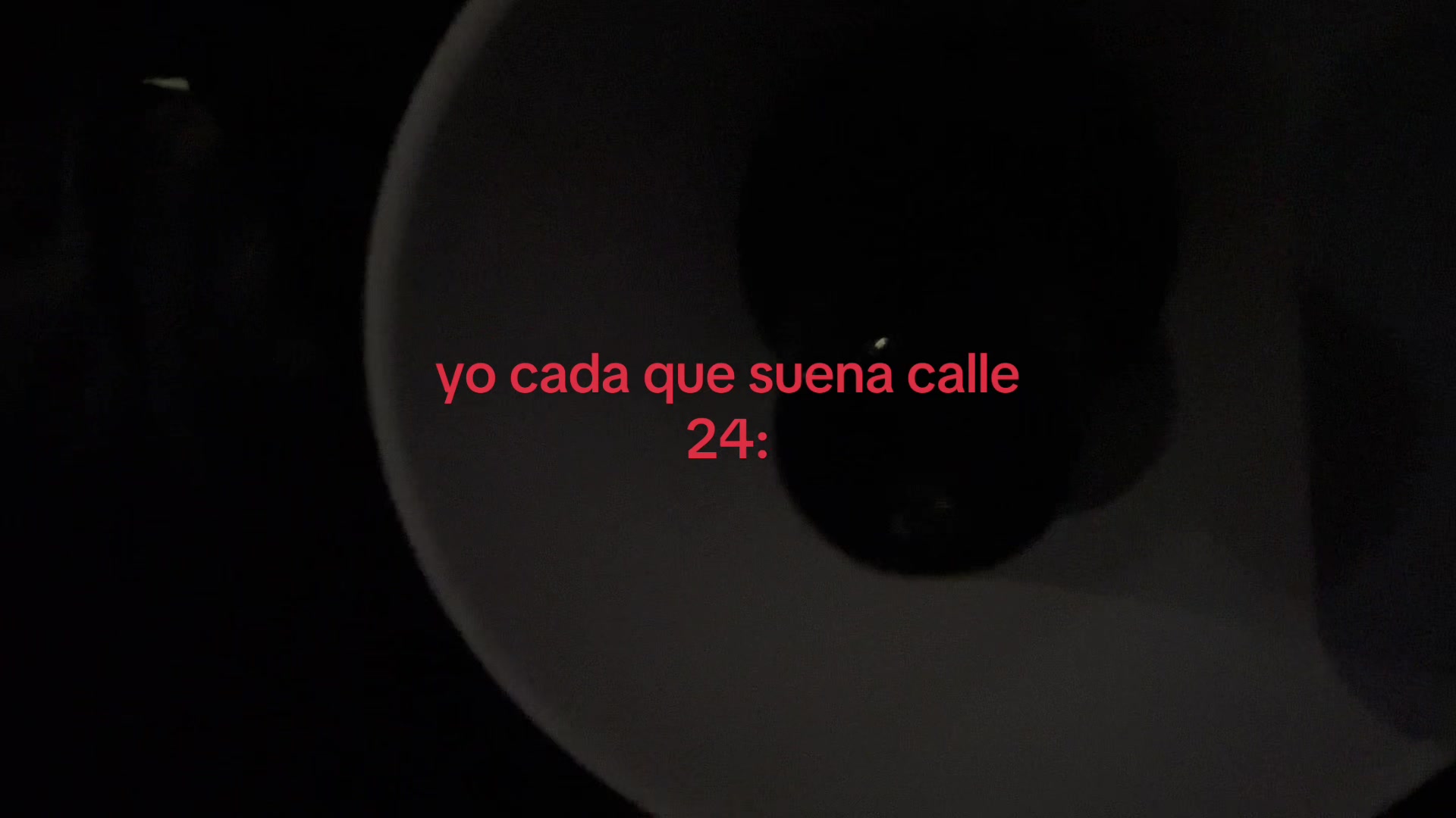 @dianita 🐸