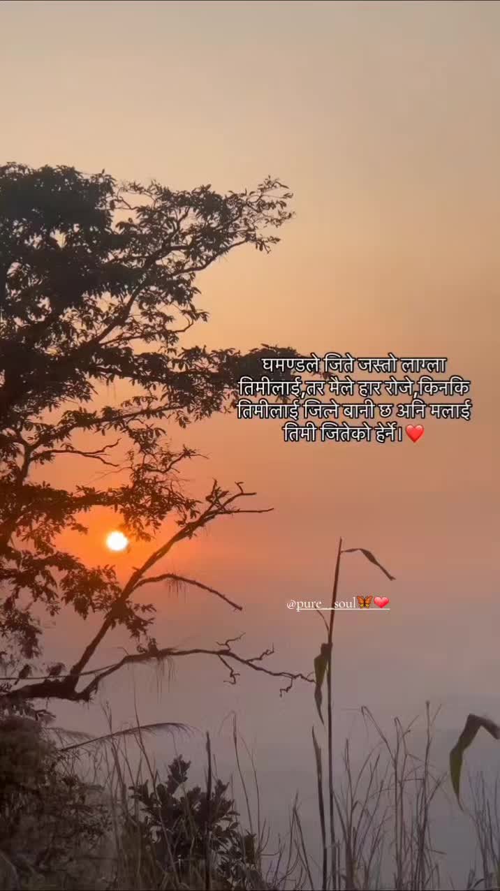 @pure__soul🦋❤️