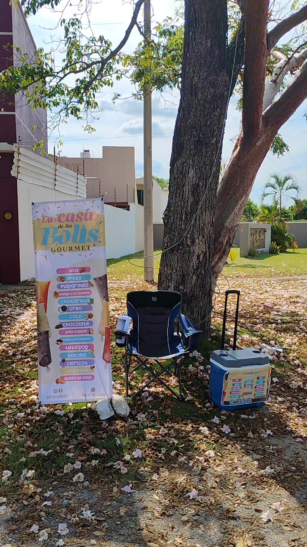 @la casa de los bolis gourmet