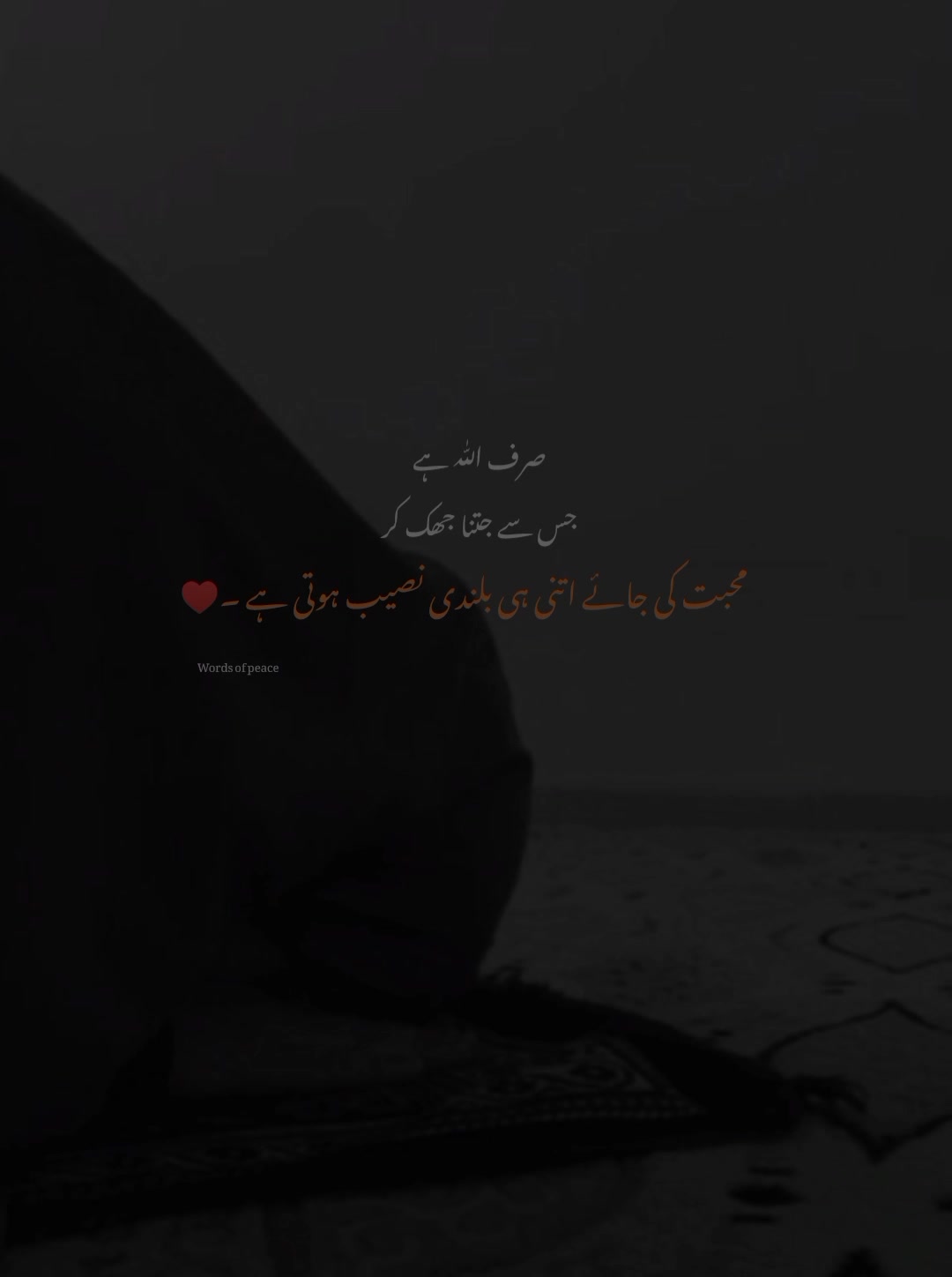 @قلم کی نمی🥀